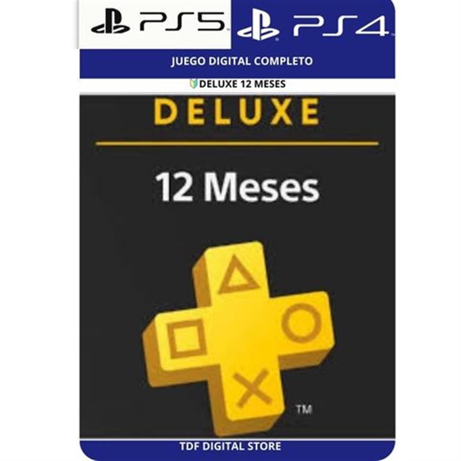 Plus DELUXE 12 meses